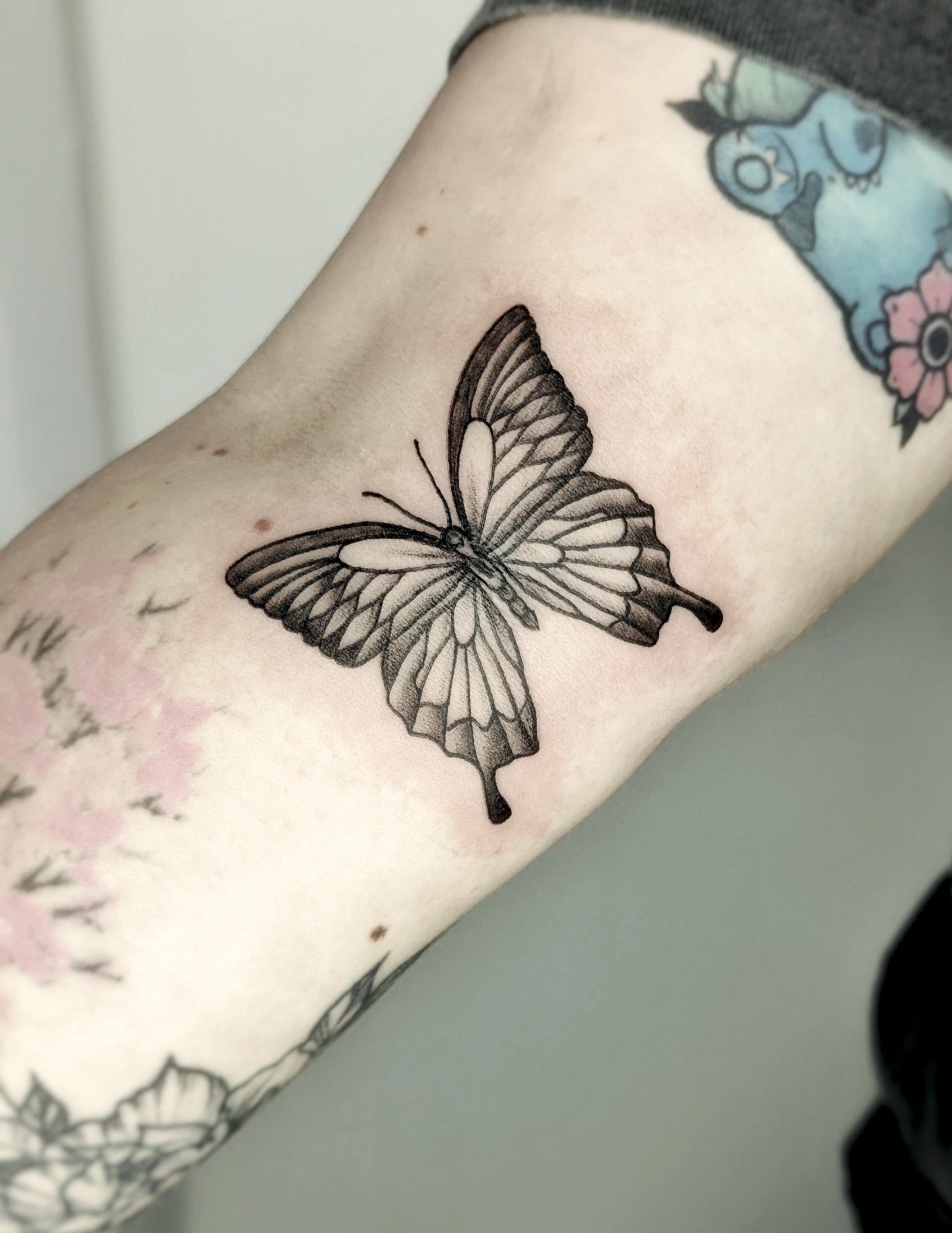 Shaded Butterfly