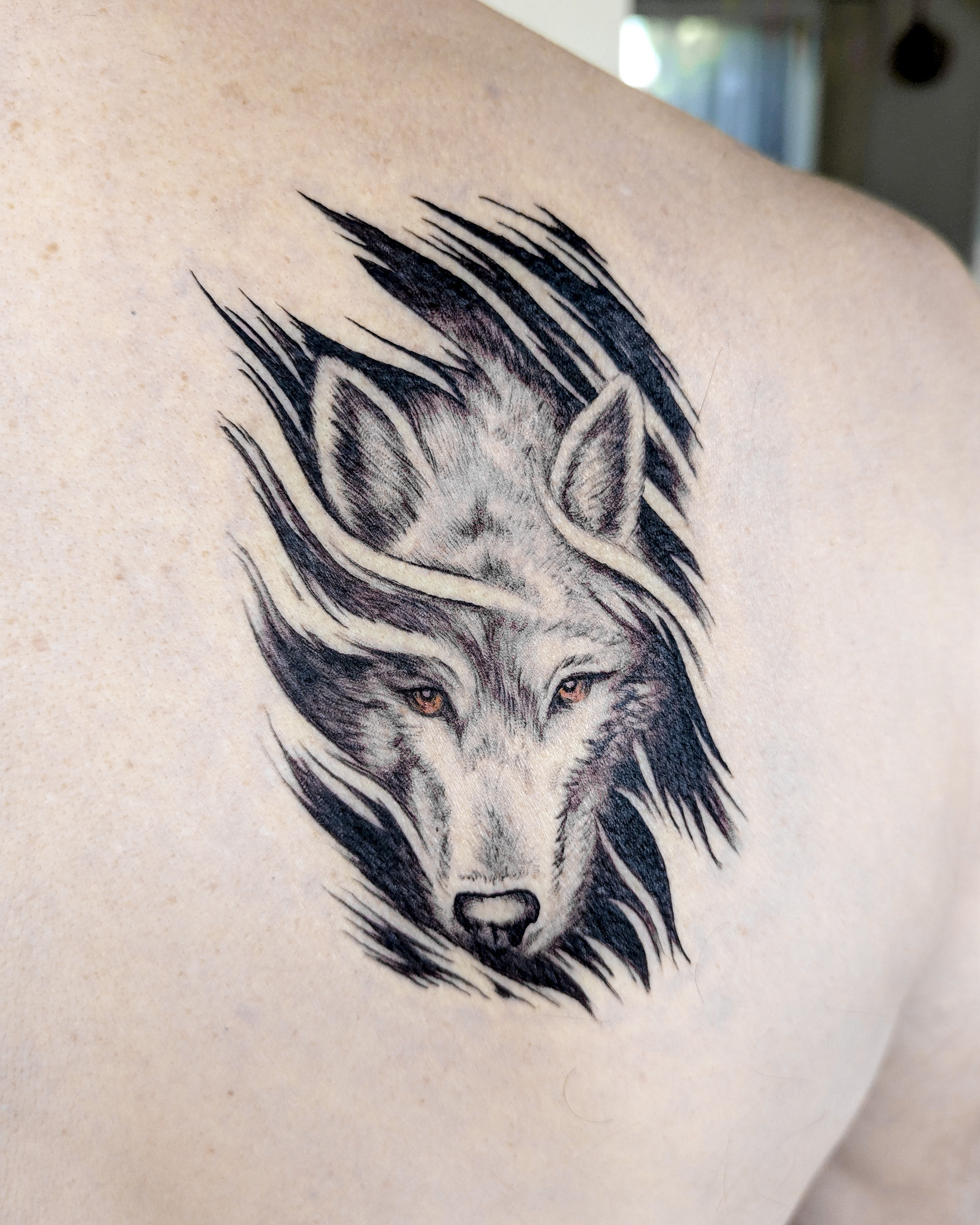 Wolf Portrait