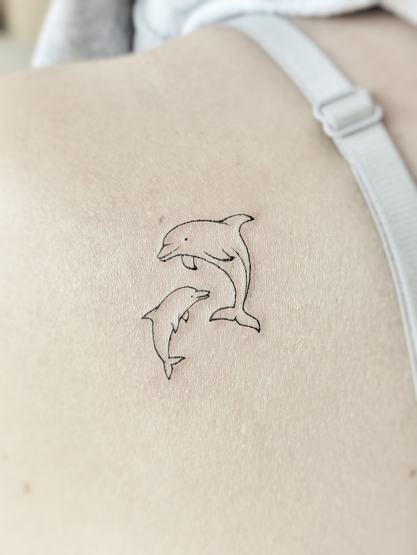 Minimalist Dolphins
