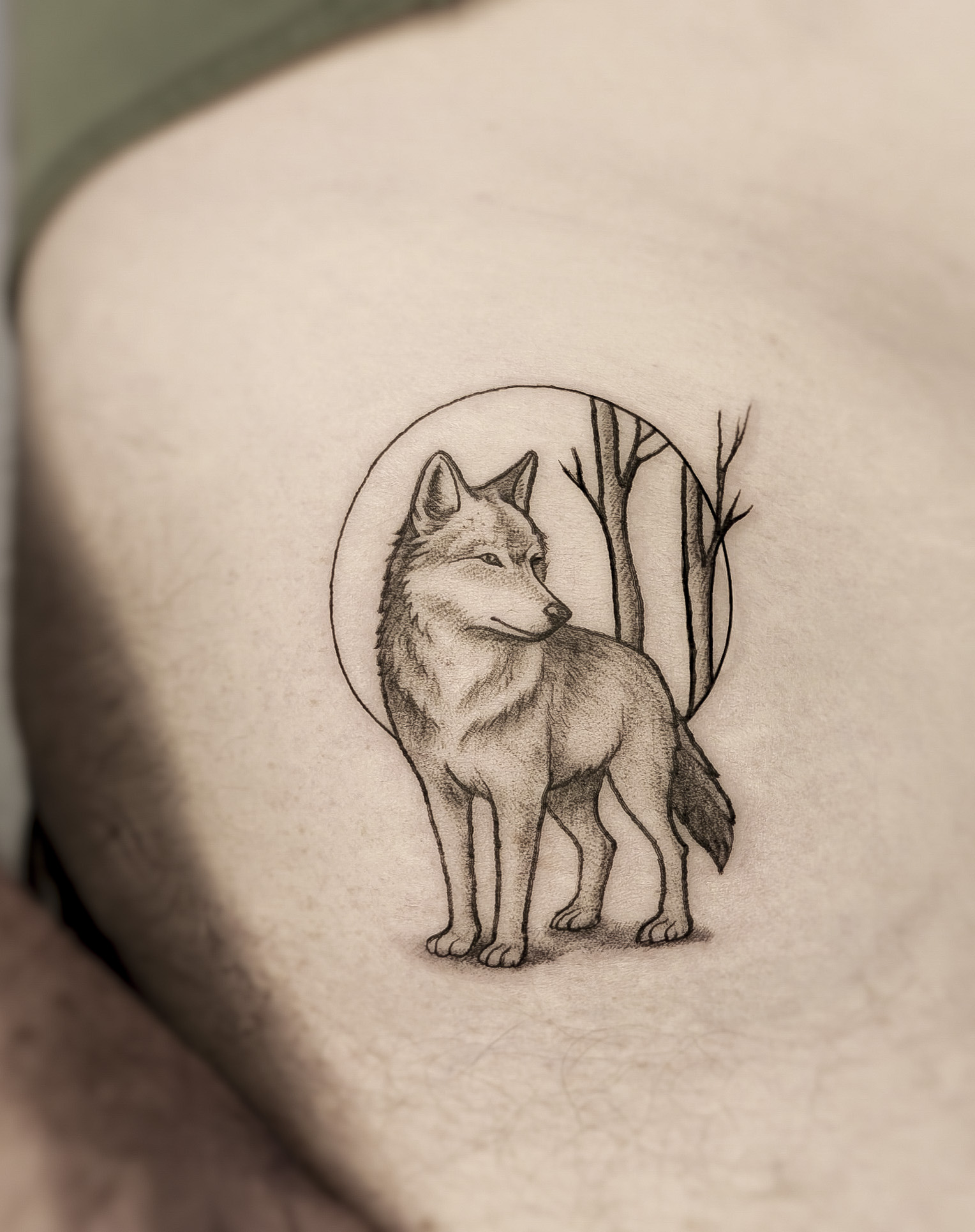 Wolf and the Moon