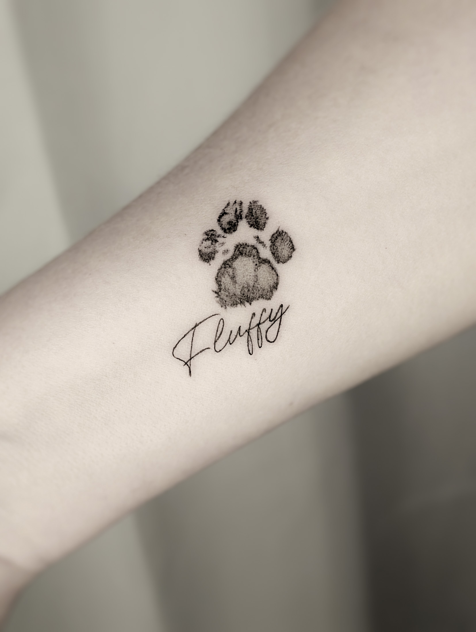 Fluffy Paw