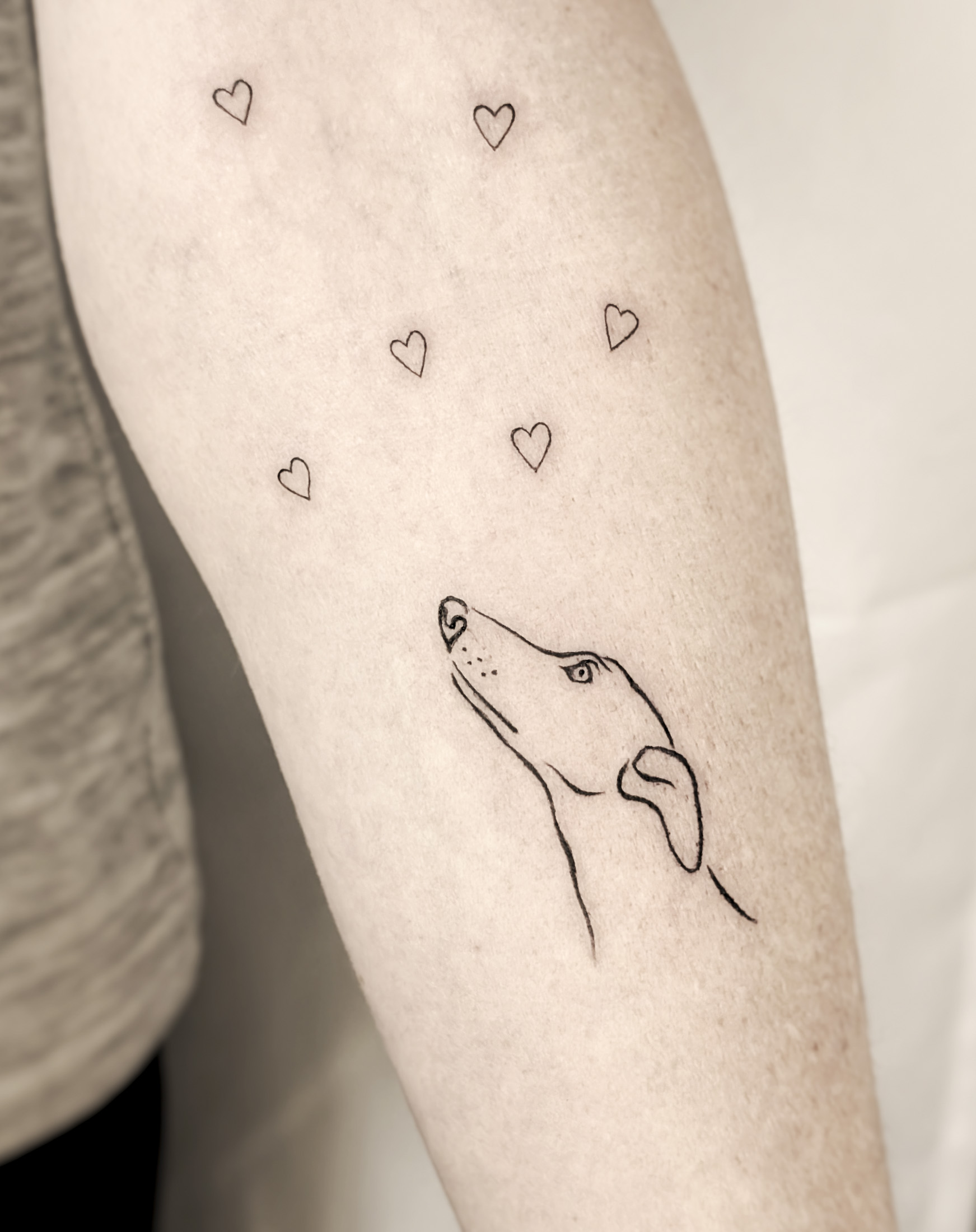 Dog & Hearts