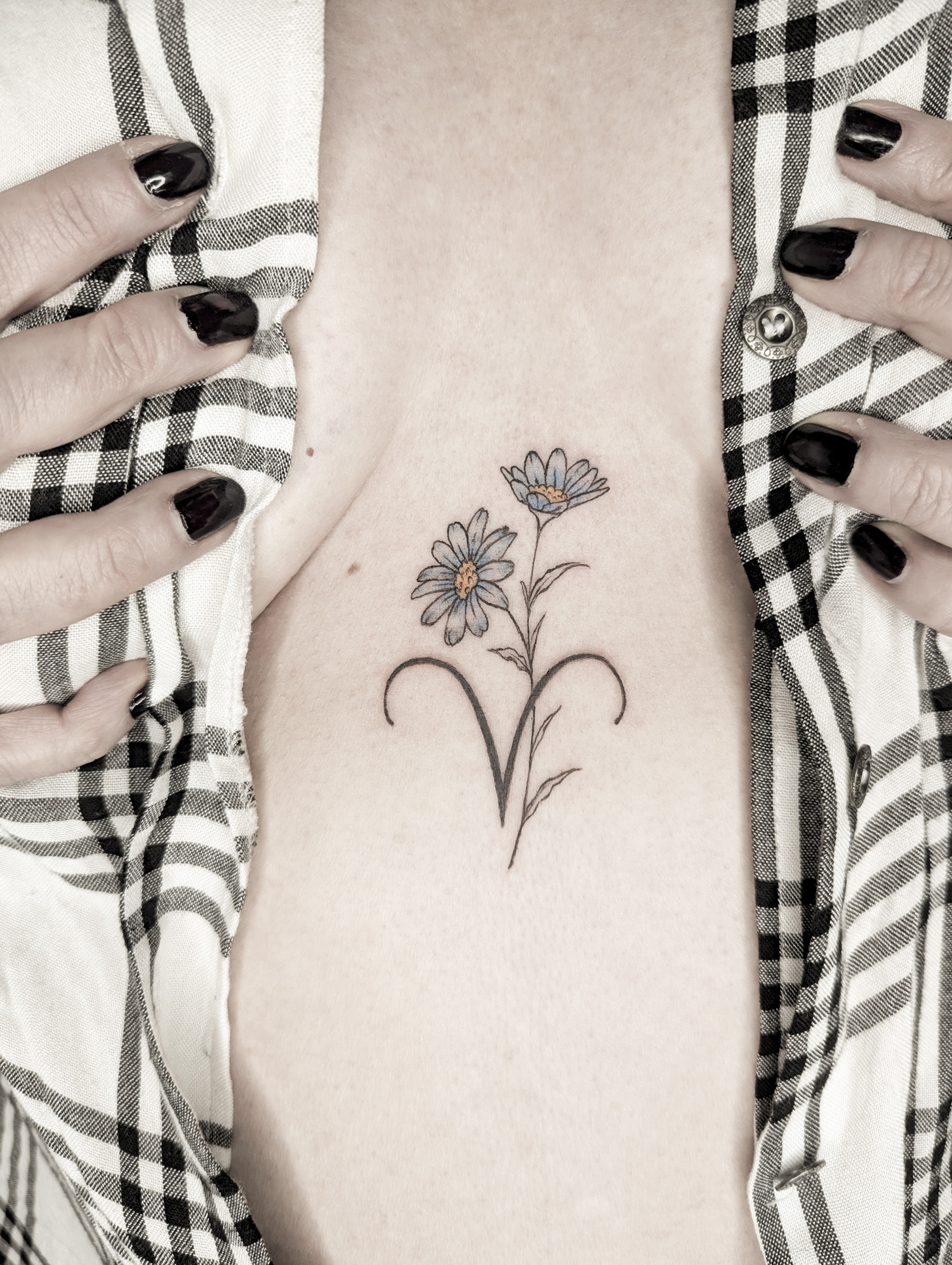 Daisies & Aries