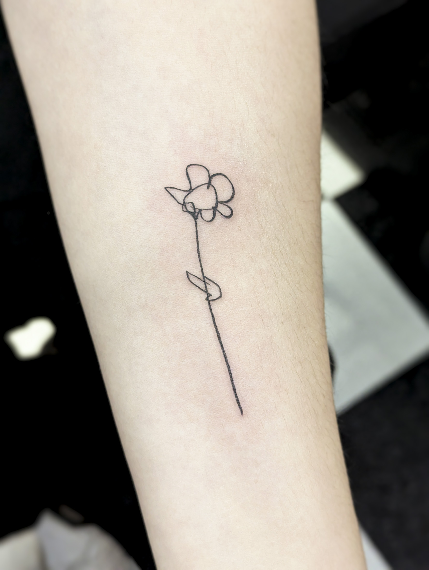 Single Daisy