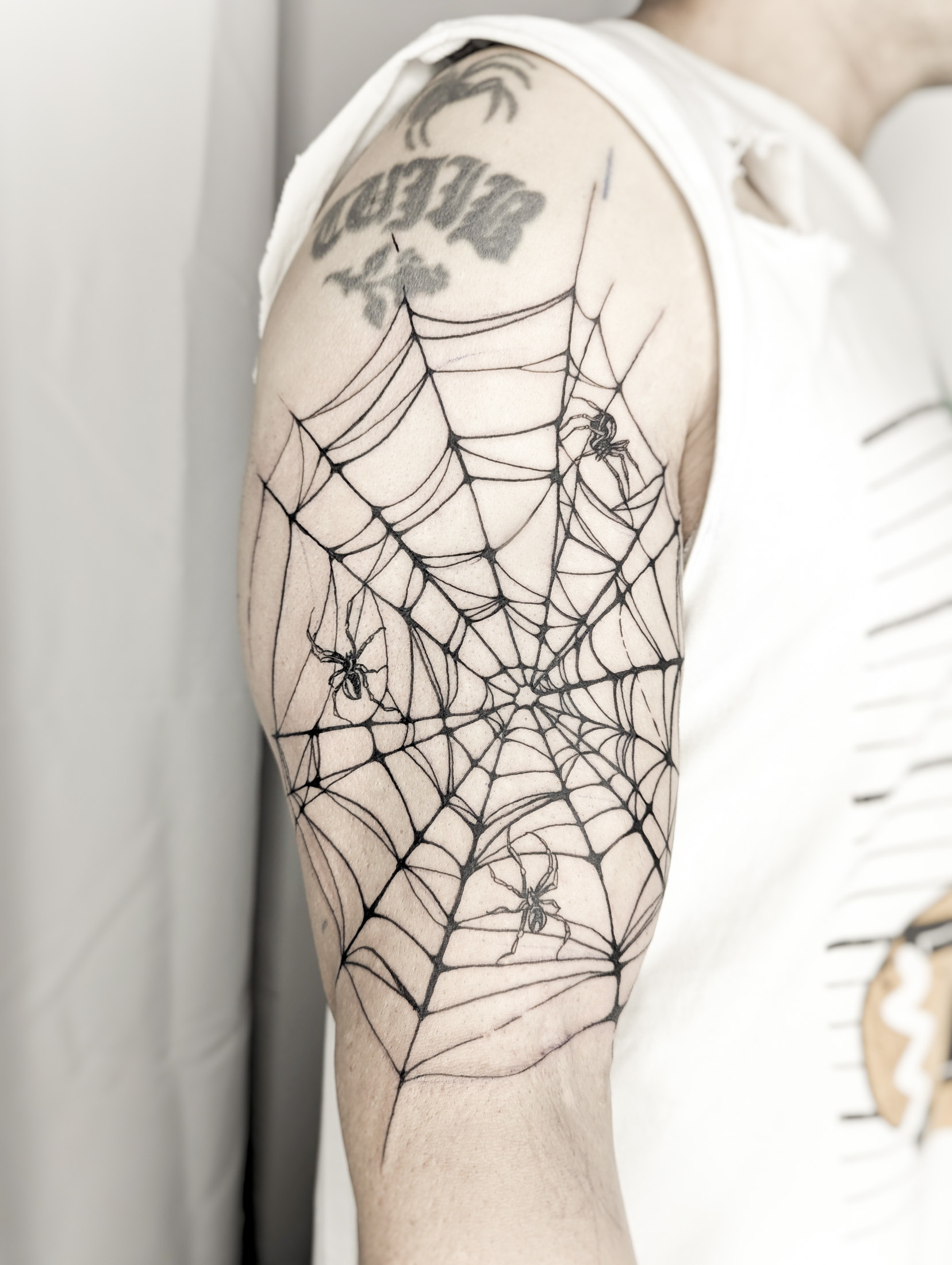 Spider Web